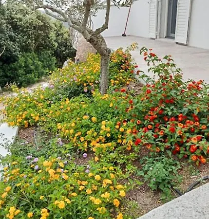 Apartament Biroddu Alta *
