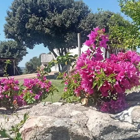 Biroddu Alta *