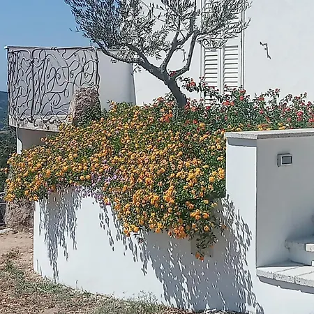 Biroddu Alta Apartament